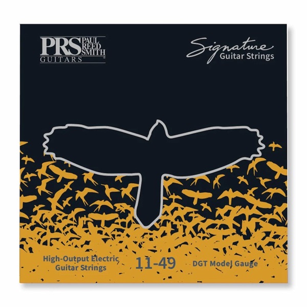 P.R.S. Signature David Grissom Guitar Strings 11-49