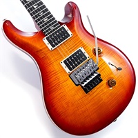 Custom24 Floyd Dark Cherry Burst  #0348120