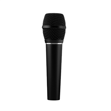 sE Electronics VR1(パッシブリボンマイク)(エスイー sE Electronics VR1(パッシブリボンマイク)(エスイー