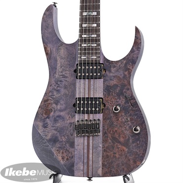 エレキギター ストラトキャスター・STタイプ Bacchus GLOBAL SERIES