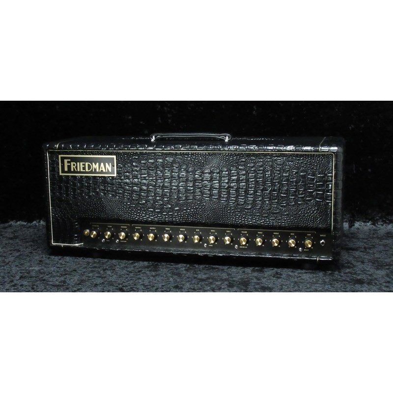 FRIEDMAN BE-100 Deluxe [Croco Tolex]（フリードマン）