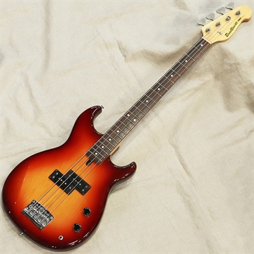 BB VI Broad Bass '81 Stain