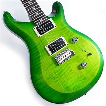 S2 10th Anniversary Custom 24 (Eriza Verde )