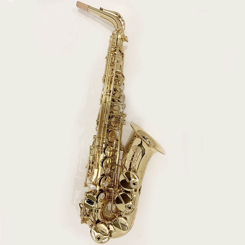 Selmer Paris セルマー アルトサックス SERIE III Jubilee GL S/N