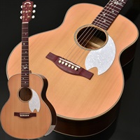 Japan Tune-up Series HTJ-SAKURA (SKPN) 【特価】