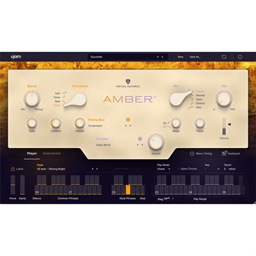 UJAM 【ユージャムサマーセール2026！】Virtual Guitarist AMBER 2(ユージャム)(ヴァーチャルギタリスト)(オンライン納品)(2時間以内に納品)