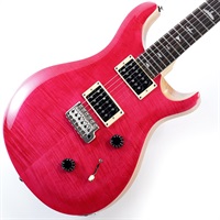 【USED】SE CUSTOM 24 (Bonni Pink / Natural Back) [CTID48755]