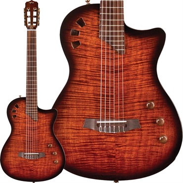 STAGE GUITAR (Edge Burst)