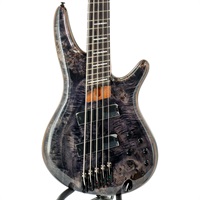 Bass Workshop SRMS805-DTW 【特価】