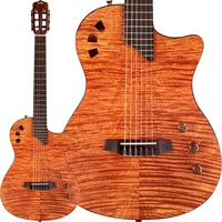 STAGE GUITAR (Natural Amber)