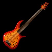 BN5 Deluxe (Auburn Burst)