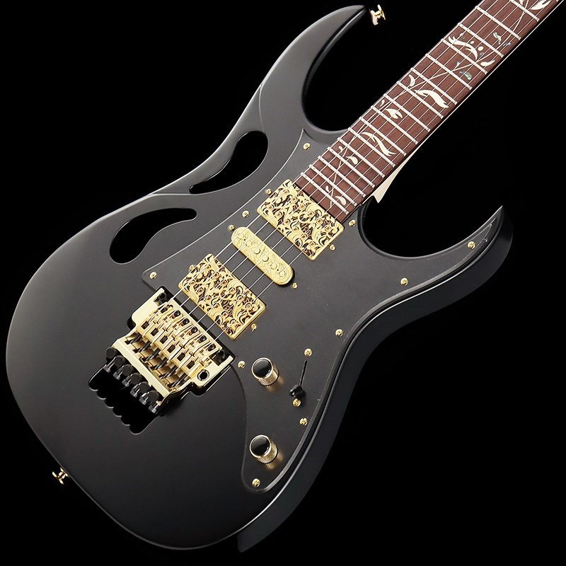 Amazon.com: Ibanez Steve Vai Signature PIA3761 - Stallion