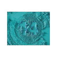 KOMPLETE 14 SELECT(オンライン納品)(代引不可)【数量限定】