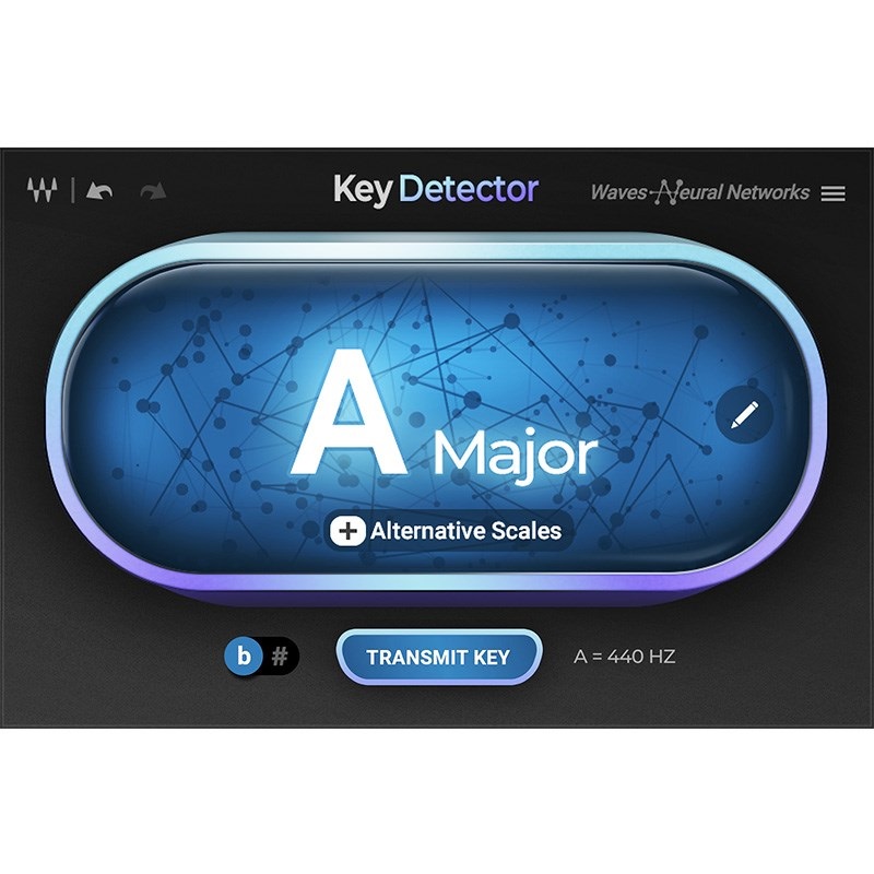 WAVES Key Detector(オンライン納品)(2時間以内に納品)
