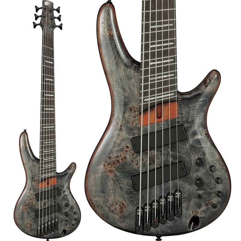 Bass Workshop SRMS806-DTW [SPOT MODEL]の商品画像