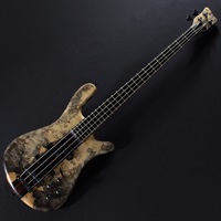 Streamer Stage I Buckeye Burl Top/LED Green '16【USED】