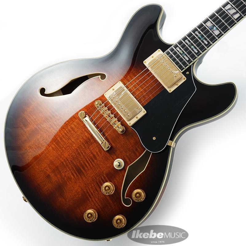 JSM100-VT [John Scofield Signature Model]の商品画像