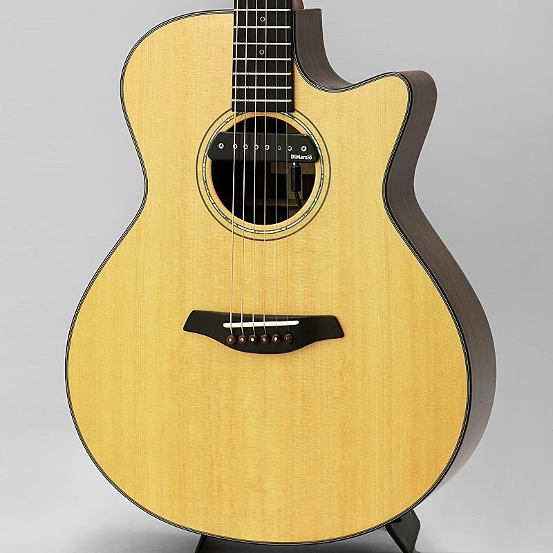 弾き語りセット エレキアコギ アンプ マイク フットSW リズムマシン