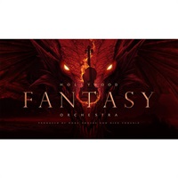 HOLLYWOOD FANTASY STRINGS (代引不可)【大幅値下げ】(オンライン納品)