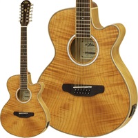 FET-DLX/12 NAT 【12弦エレアコモデル】 【特価】