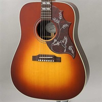 Hummingbird Studio Rosewood (Rosewood Burst)