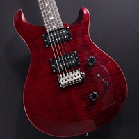 SE Custom 24 (Black Cherry) #F005571【中古】
