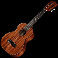 HF-2DI [Concert Deluxe] 【チョイキズ特価】