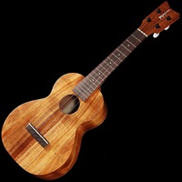 HF-2 [Concert Model] 【チョイキズ特価】
