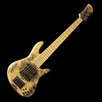 Emperor 5st Bolt-on Custom (Buckeye Burl Top) '22 【USED】