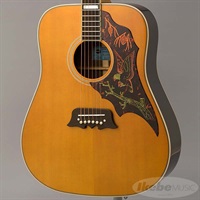 アコースティック・エレアコギター エレアコギター Epiphone ｜イケベ