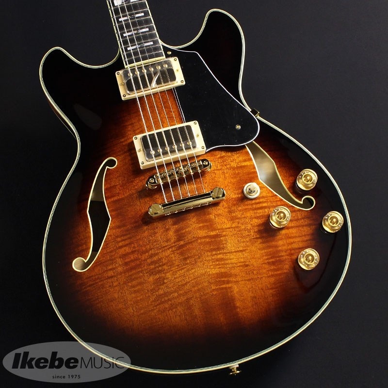 JSM100-VT [John Scofield Signature Model]の商品画像