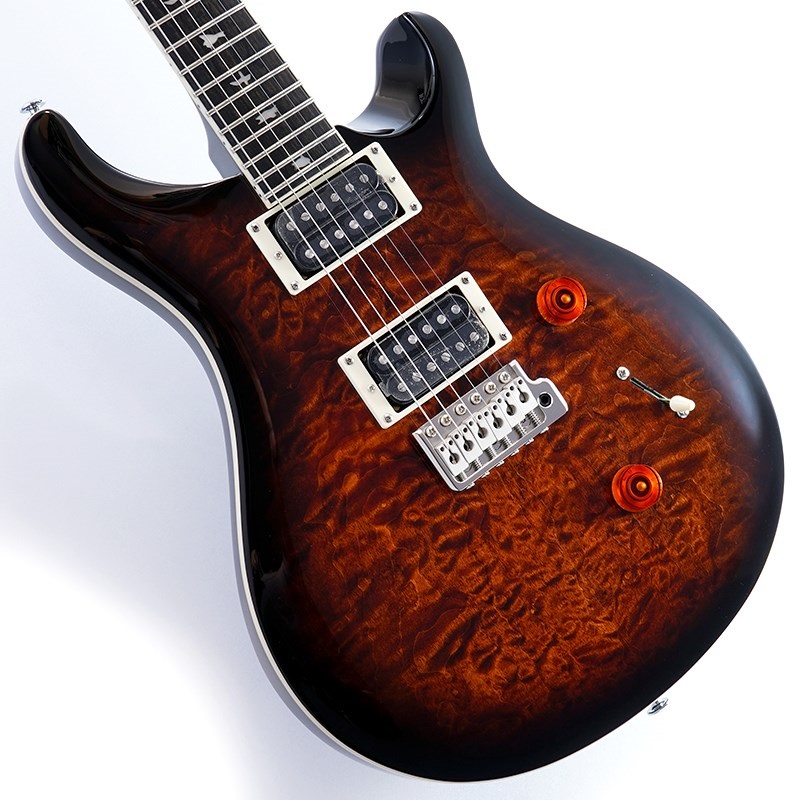 PRS SE custom 24