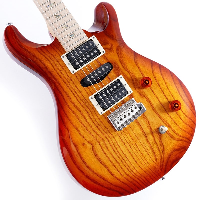 SE Swamp Ash Special (Vintage Sunburst)の商品画像