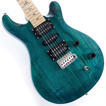 SE Swamp Ash Special (Iri Blue)