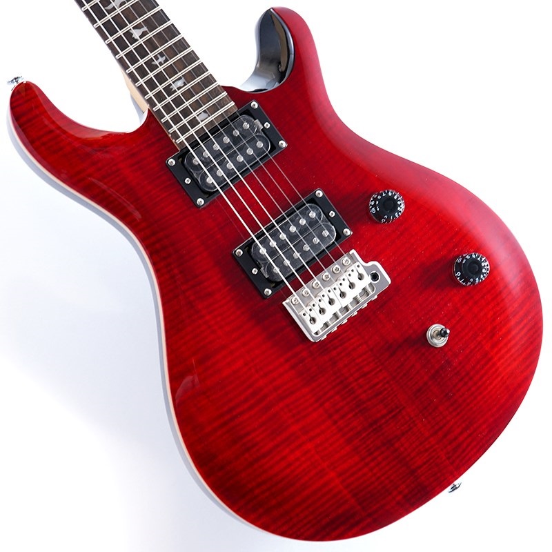 SE CE 24 (Black Cherry)の商品画像