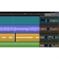 WAVEFORM PRO 12(代引不可)(オンライン納品)