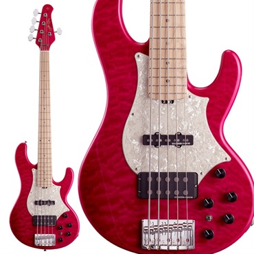 Edwards Platinum E-JG SGZ Custom -JGM- (CAR) [SUGIZO