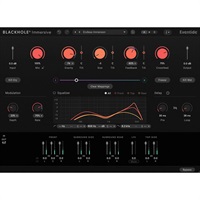 【12/25 午前11時までの限定特価！】Blackhole Immersive(オンライン納品)(代引不可)