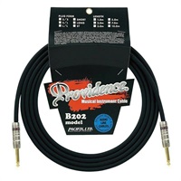 B202 model 7.0m S/S 【在庫処分超特価】