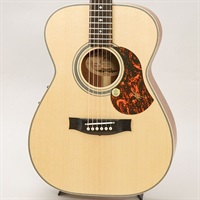 EBG808 Artist