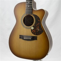 EBG808C Nashville