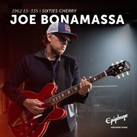 Joe Bonamassa 1962 ES-335 (Sixties Cherry)
