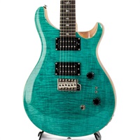SE Custom 24-08 (Turquoise)