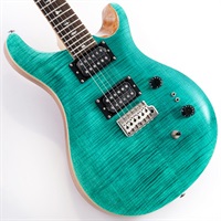 SE Custom 24-08 (Turquoise)