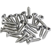 Pickguard/Control Plate Mounting Screws (24) (Chrome) (0994923000)