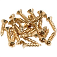 Pickguard/Control Plate Mounting Screws (24) (Gold) (0994924000)