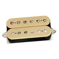 Illuminator Bridge [DP257] (Cream/Standard-Spaced) 【安心の正規輸入品】