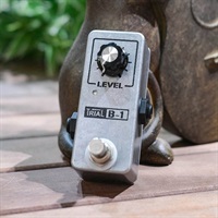 B-1 Ver.2.0 トライアル