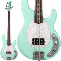 StingRay Special 1H (Laguna Green/Rosewood) 【2025 新春セール】 【amPlug 3 Tone Hammerプレゼントキャンペーン】