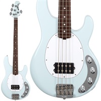 StingRay Special 1H (Sea Breeze/Rosewood) 【amPlug 3 Tone Hammerプレゼントキャンペーン】